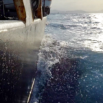 L'intervista in mare_Stills__002